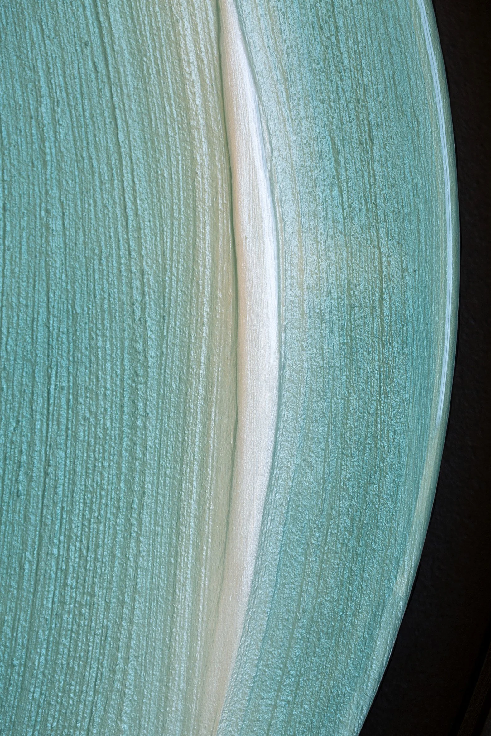 Oceanique 2_2025_04.jpg