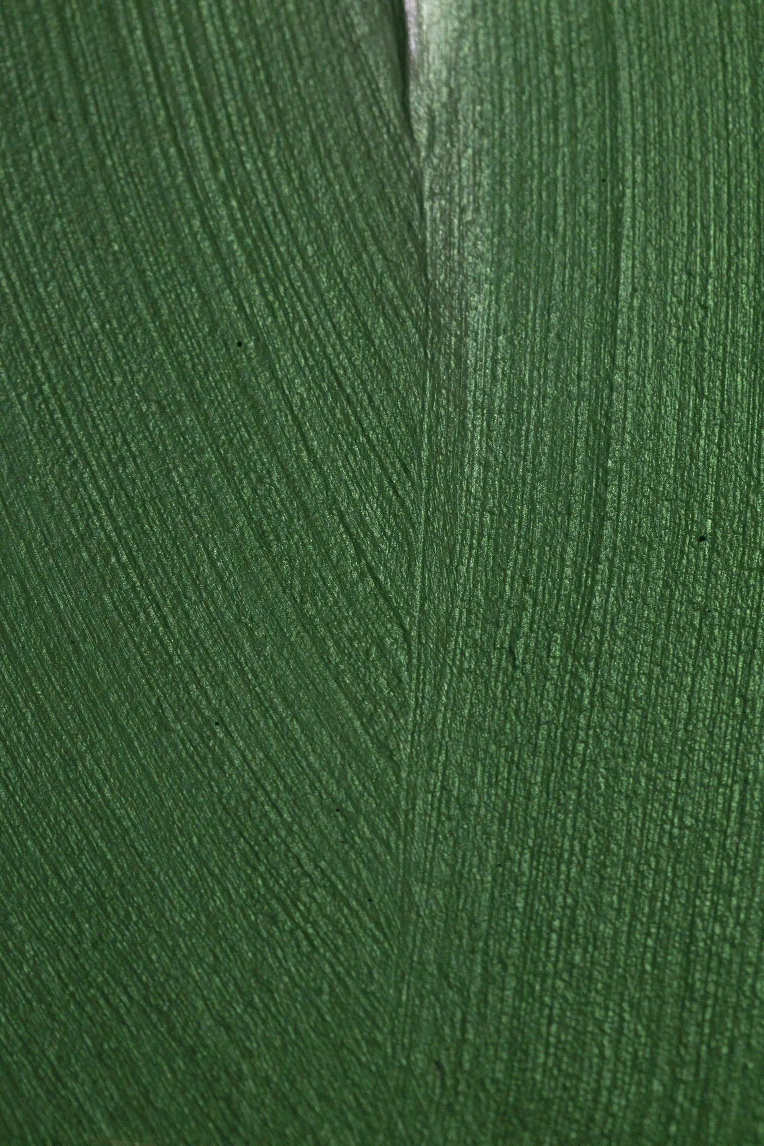 Sylvestre 1_2025_04.jpg