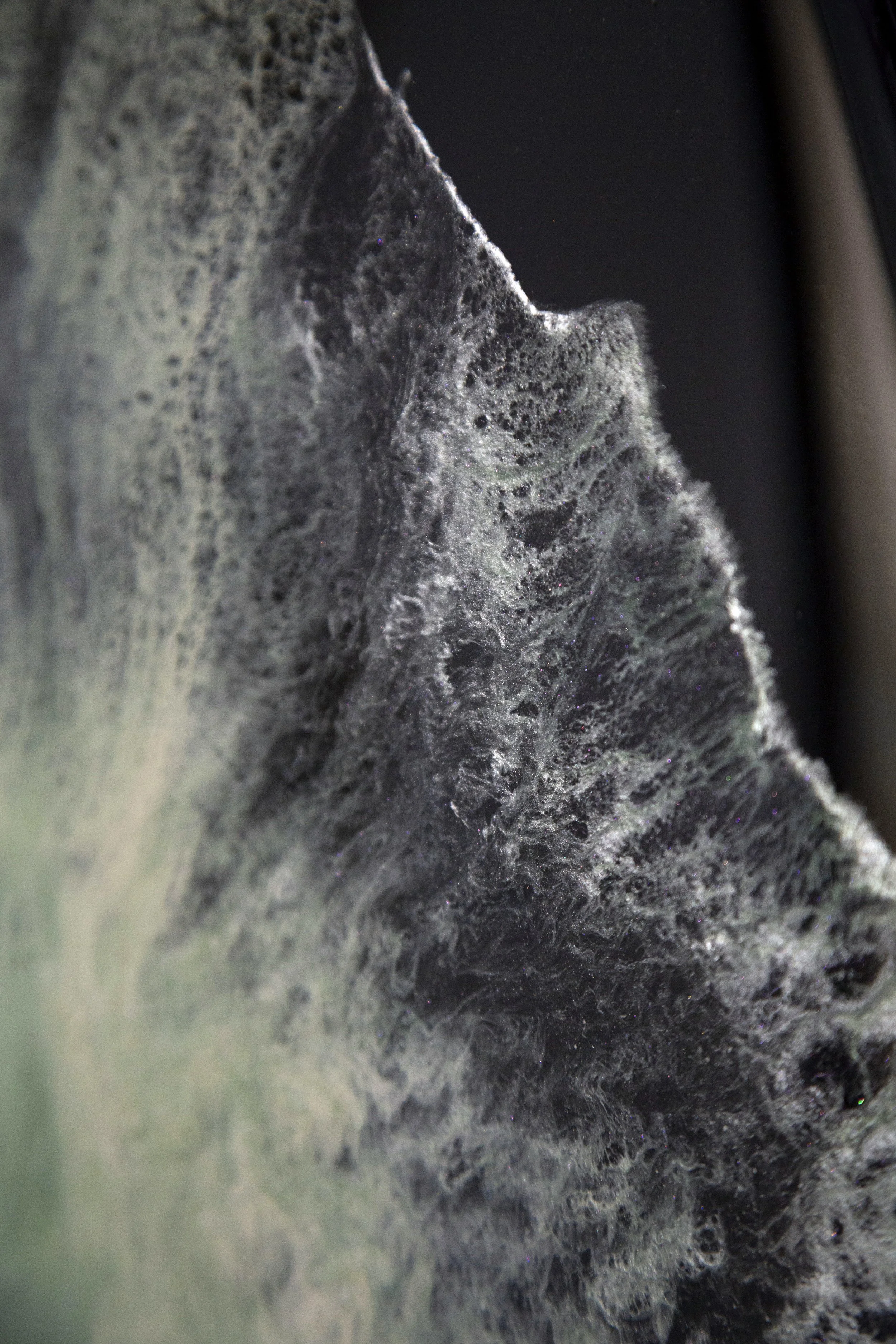 Echo cosmique_2024_05.jpg