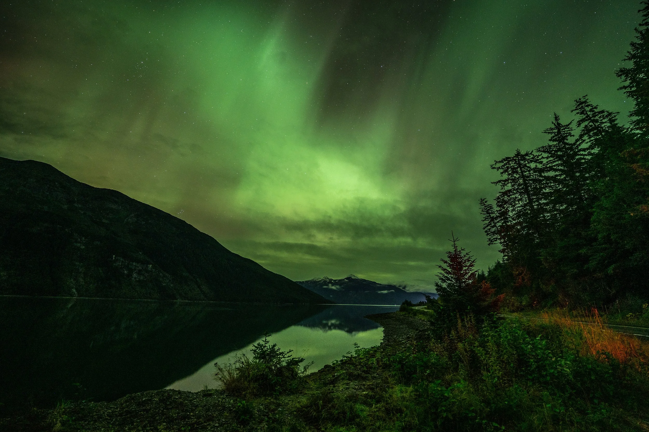 Northern lights over a lake with mountains and trees at night.