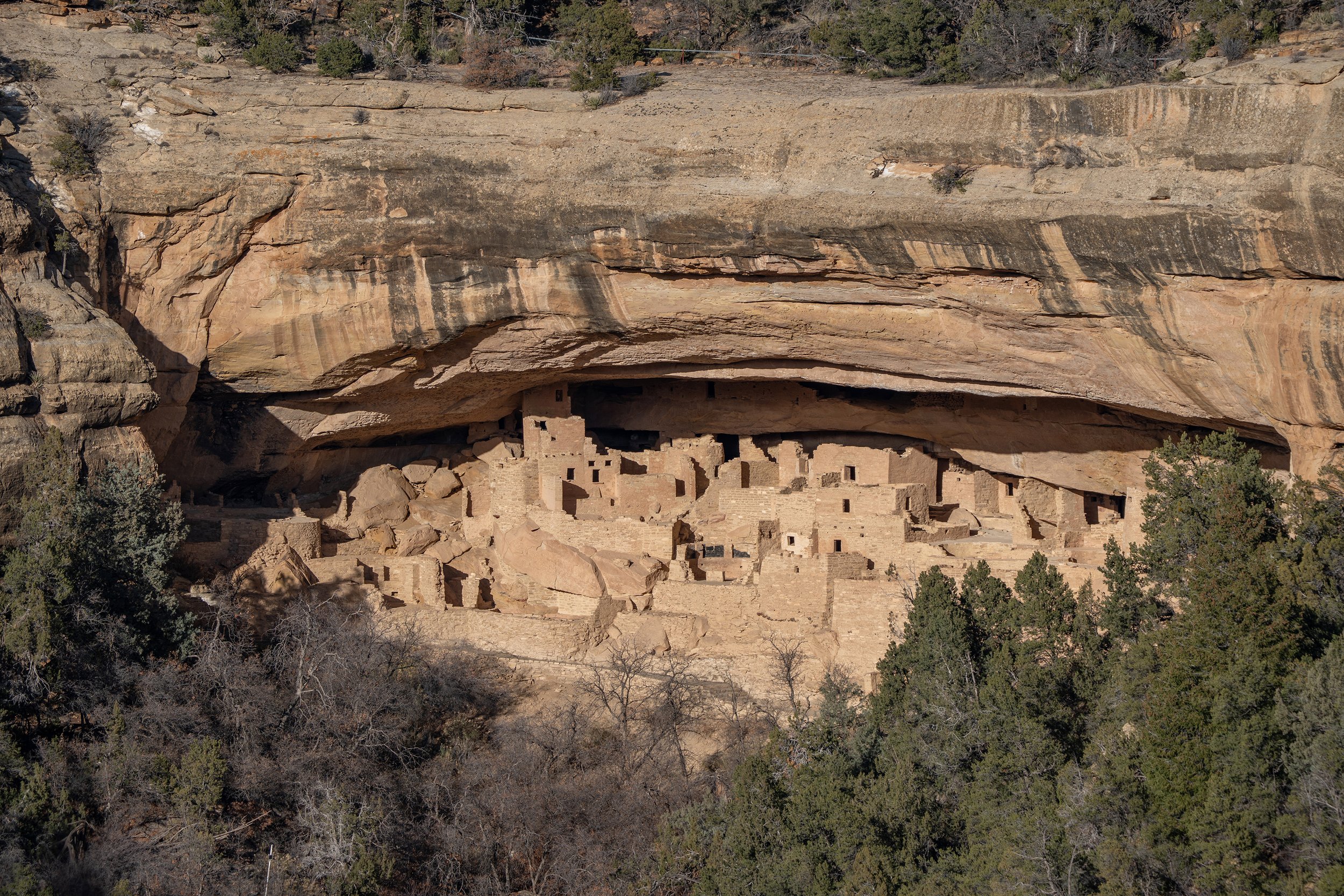 Ancient cliff dwelling built into a large cave in a desert landscape with sparse trees and shrubs.
