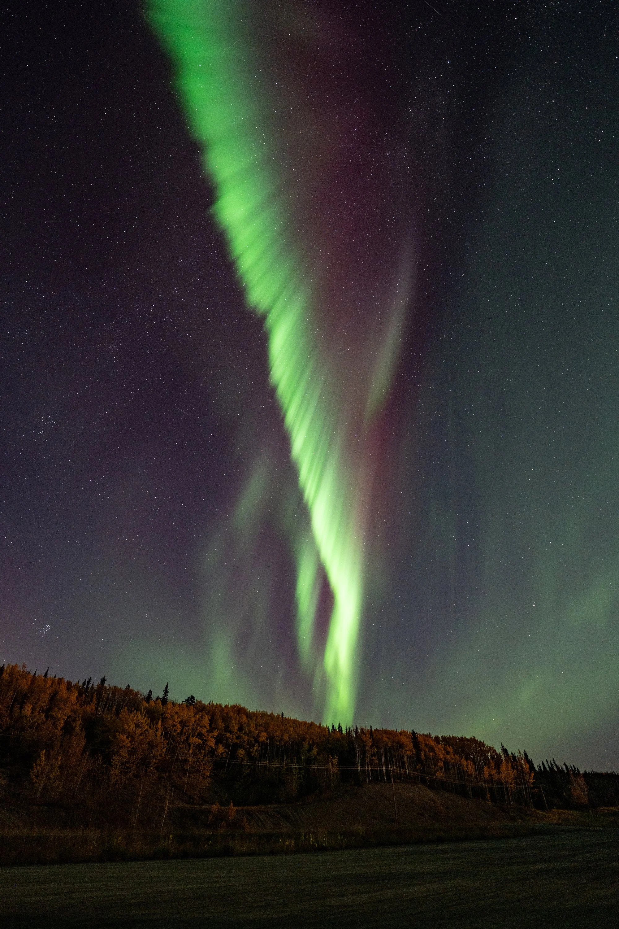 Northern lights (aurora borealis) glowing green in a starry night sky over a forested landscape with a road or field in the foreground.
