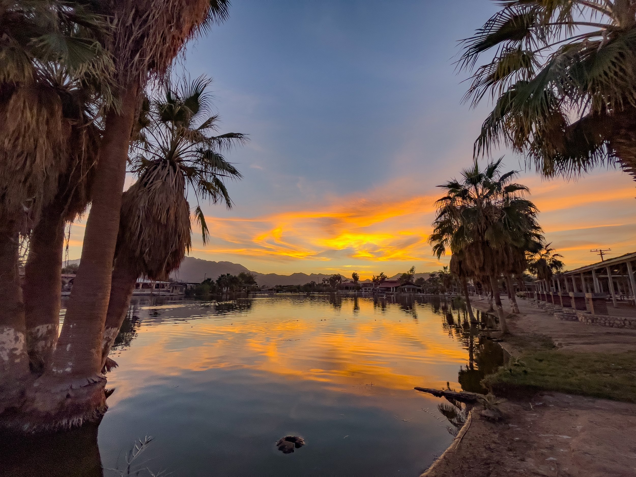 Palm trees along the edge of a lake at sunset with a mountain in the distance and an orange and blue sky.
