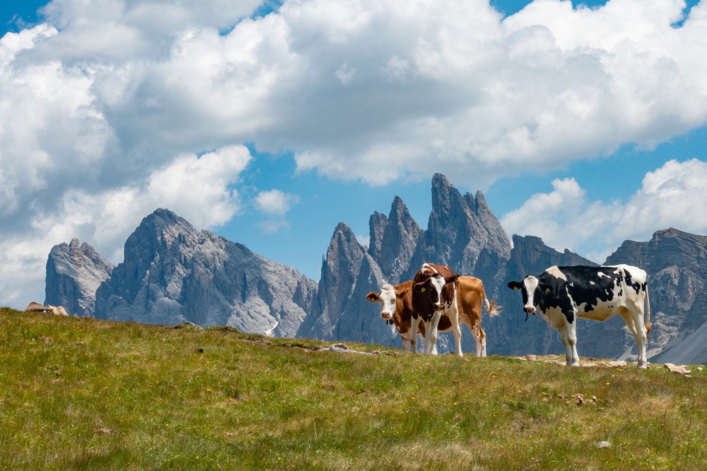 Dolomites 2018_64.jpeg