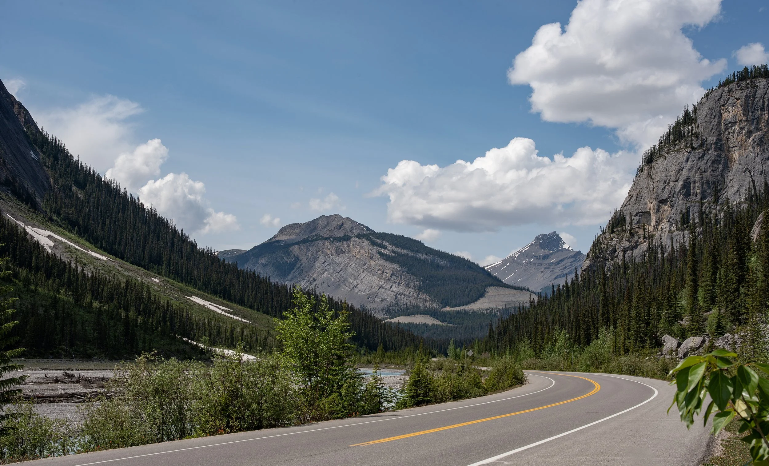 Scenic mountain valley with winding road, tall pine trees, and snow-capped peaks under partly cloudy sky.