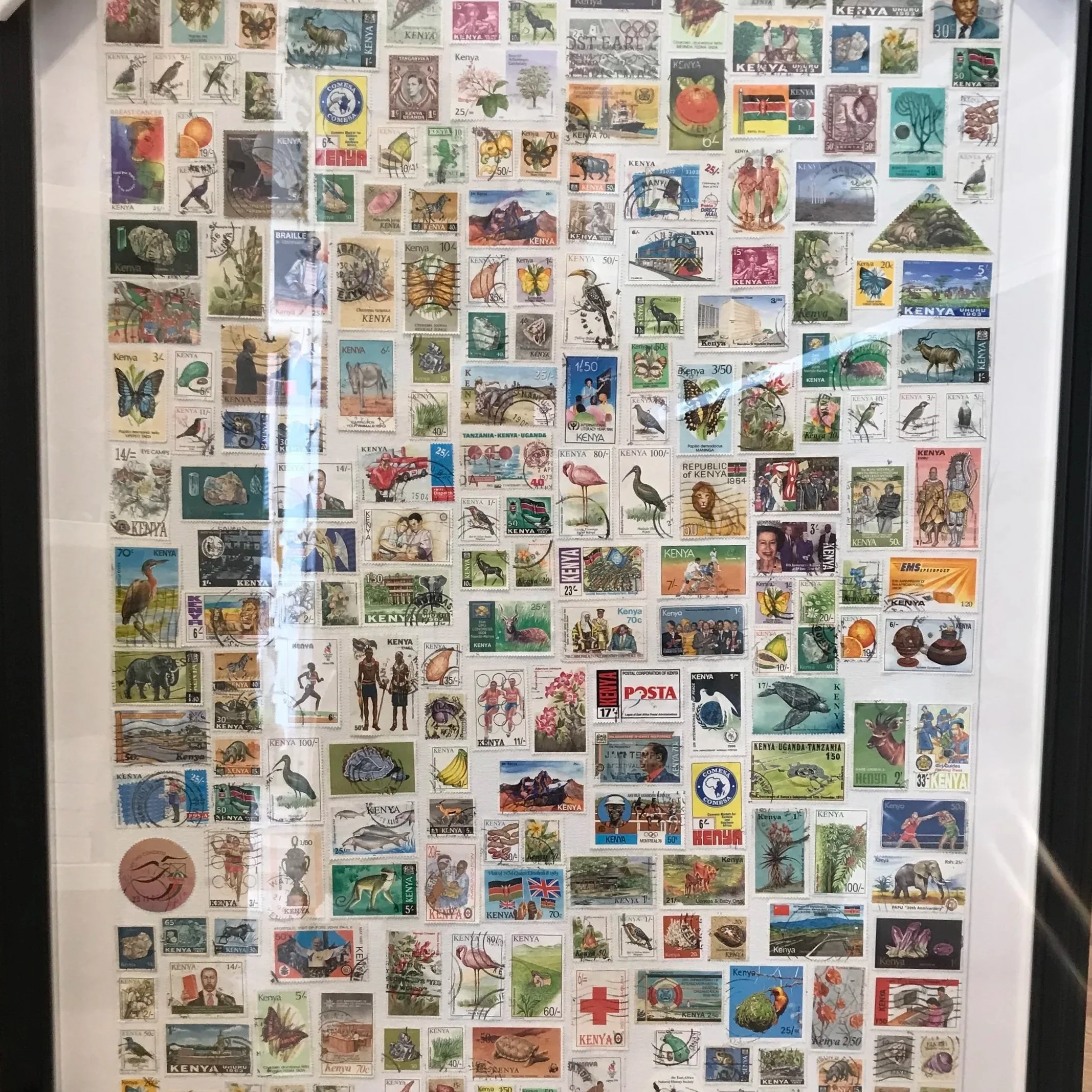 Framed collection of numerous colorful postage stamps from Kenya and other countries, featuring animals, plants, historical figures, and landmarks, displayed on a white background.