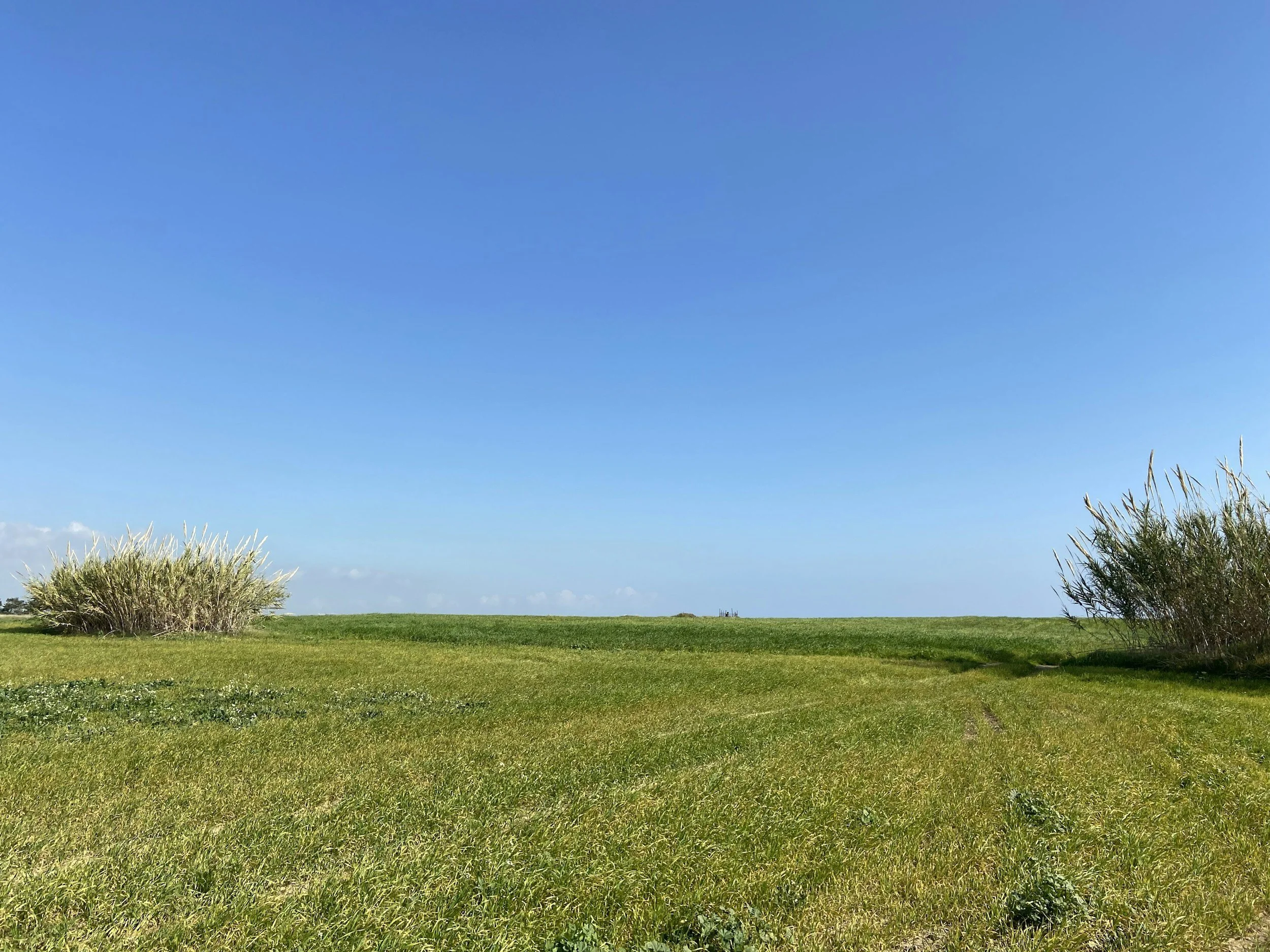 Green monday: tradition for children