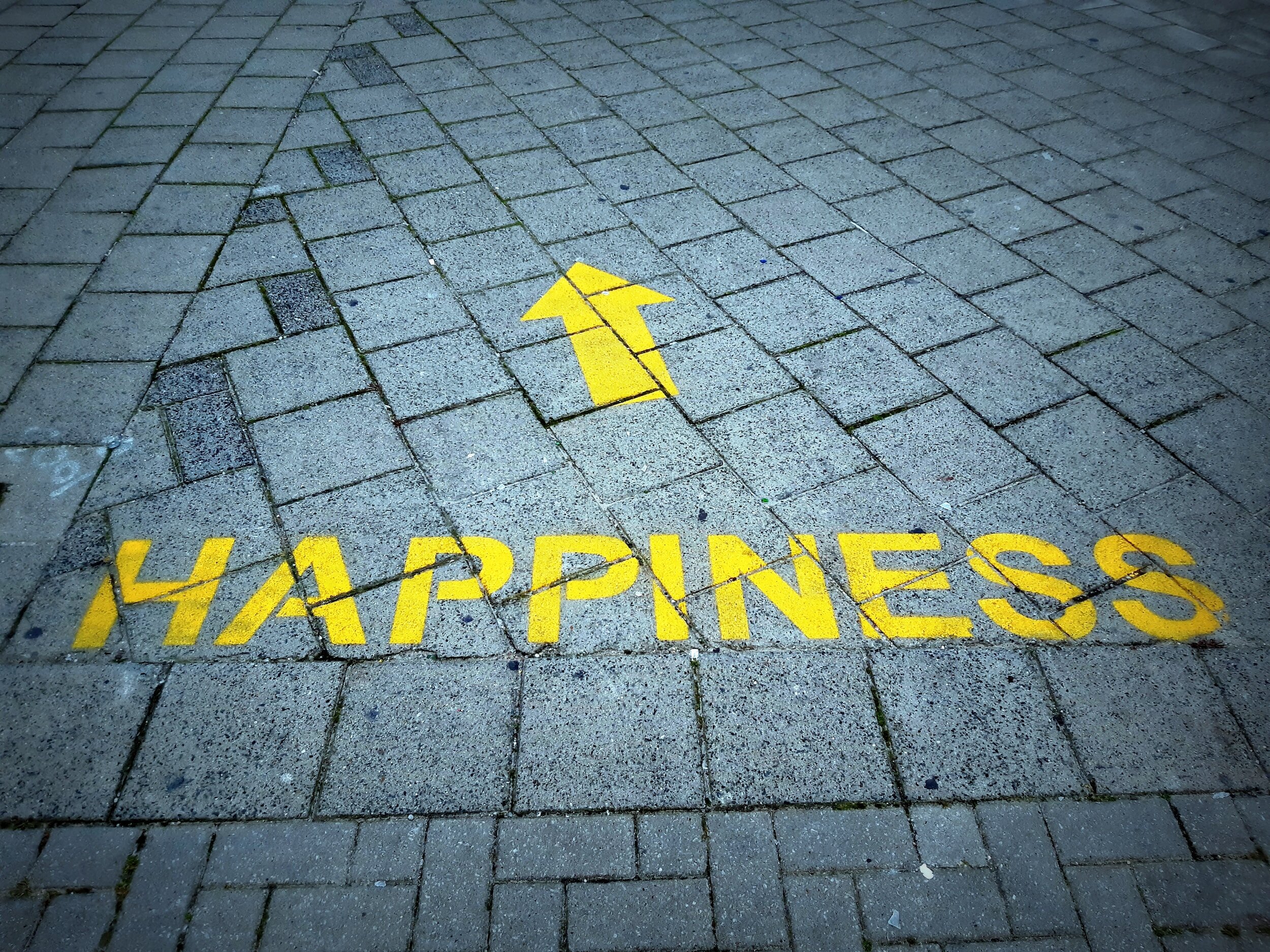 Chasing Happiness