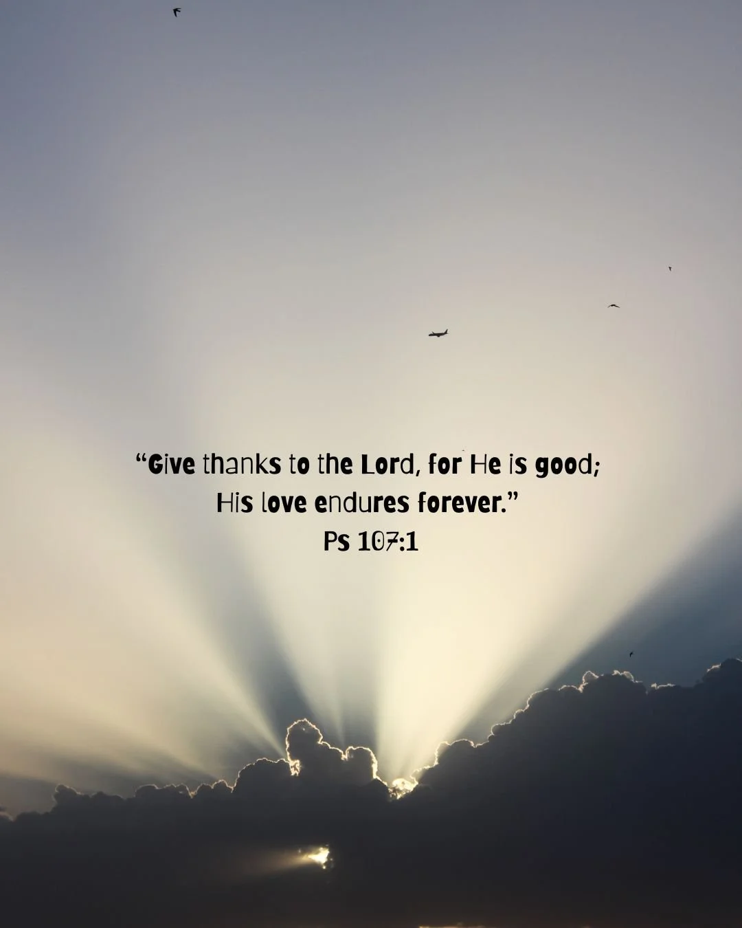 &ldquo;Give thanks to the Lord, for He is good; His love endures forever.&rdquo; &mdash; Psalm 107:1
A thankful heart attracts God&rsquo;s peace. Take a moment to pause and praise today.
Happy Friday!

#ThankfulFriday #GodIsGood #C3Haven