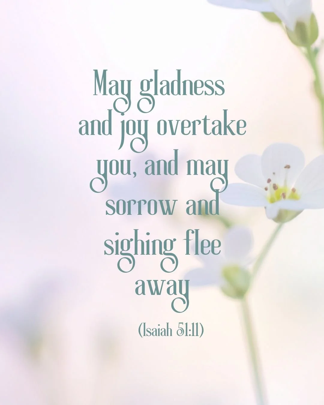 And the ransomed of the LORD shall return and come to Zion with singing; everlasting joy shall be upon their heads; they shall obtain gladness and joy, and sorrow and sighing shall flee away. (Isaiah 51:11)

#Beencouraged #c3haven #gladness #joy