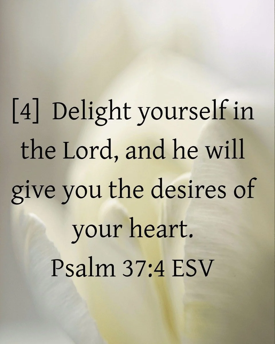 #c3 #c3havenchurch #JesusisLord #psalm37