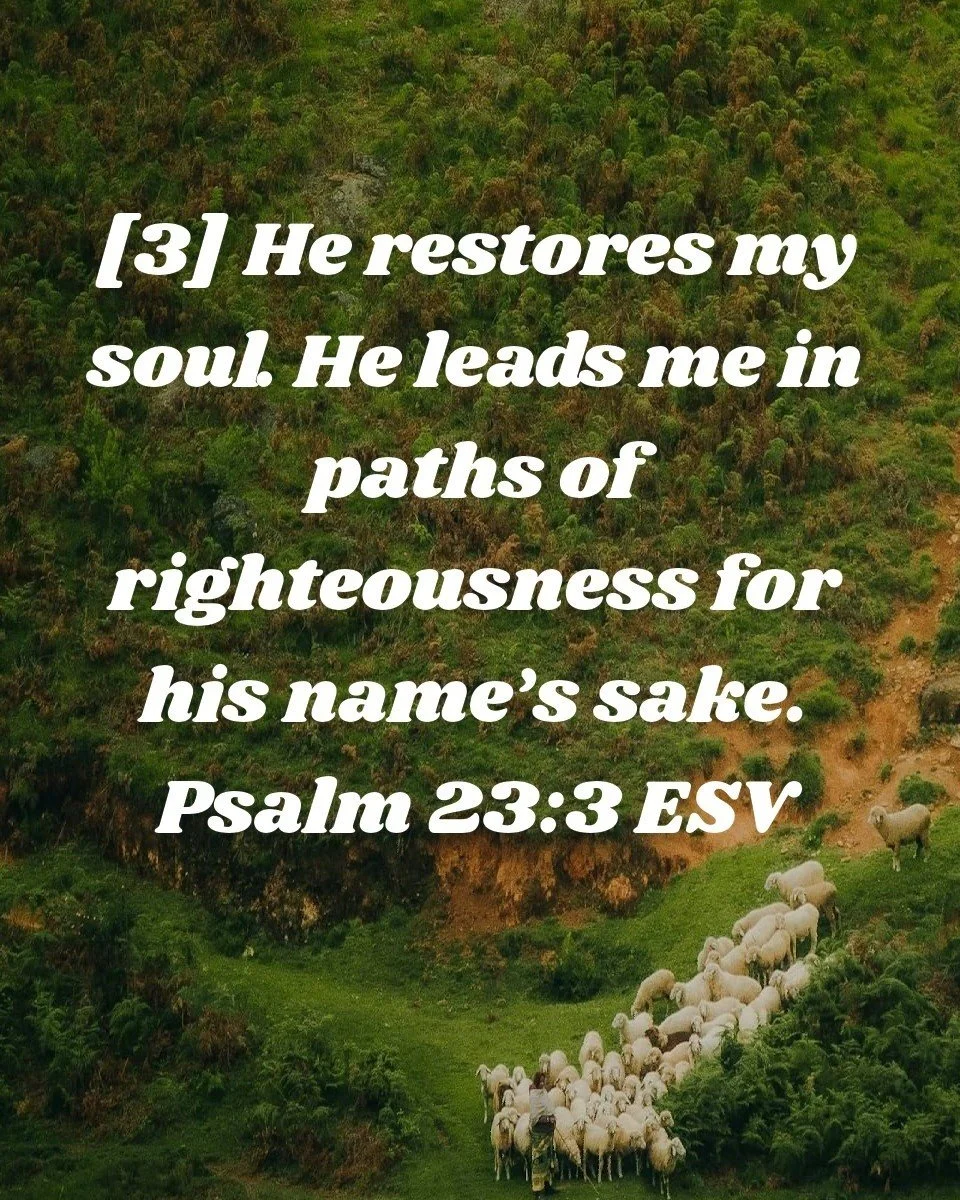 Jesus is the good shepherd that leaves the 99 to go after the 1.
Thank you Father, that You restore my soul and my strength. When I feel weary, You give me rest, when I feel uneasy, You give me peace. Amen #churchfamily #c3havencommunity #c3haven #c3