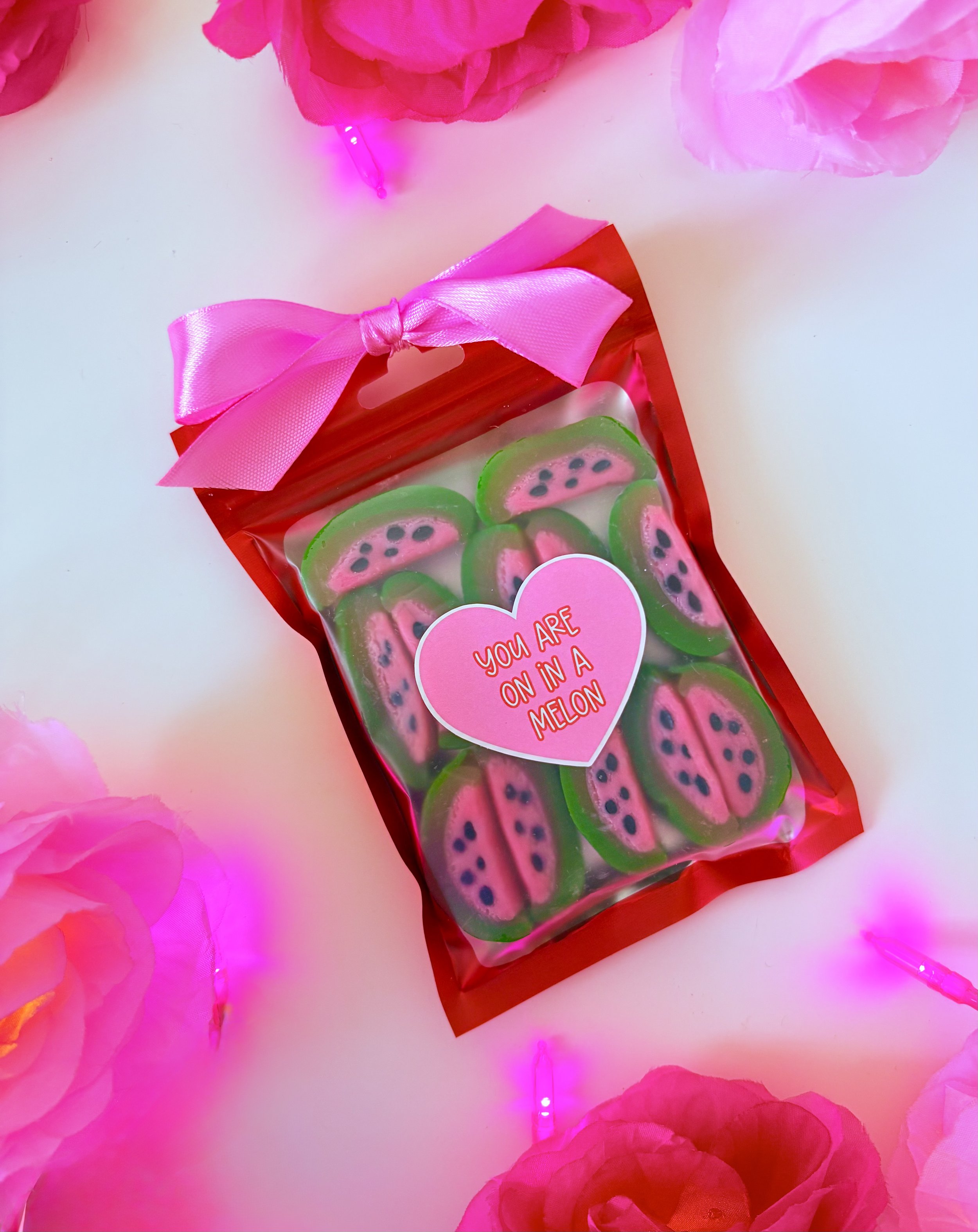 One In A Melon Sweetie Pouch