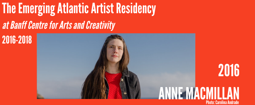 Carousel_Atlantic Artist_Anne MacMillan_E_2016.png