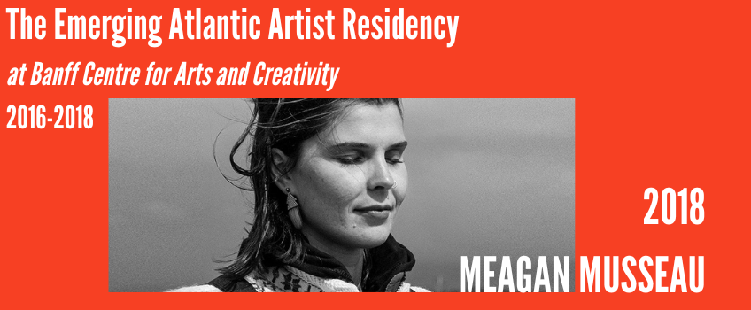 Carousel_Atlantic Artist_Meagan Musseau_E_2018.png