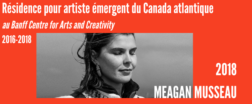 Carousel_Atlantic Artist_Meagan Musseau_F_2018.png