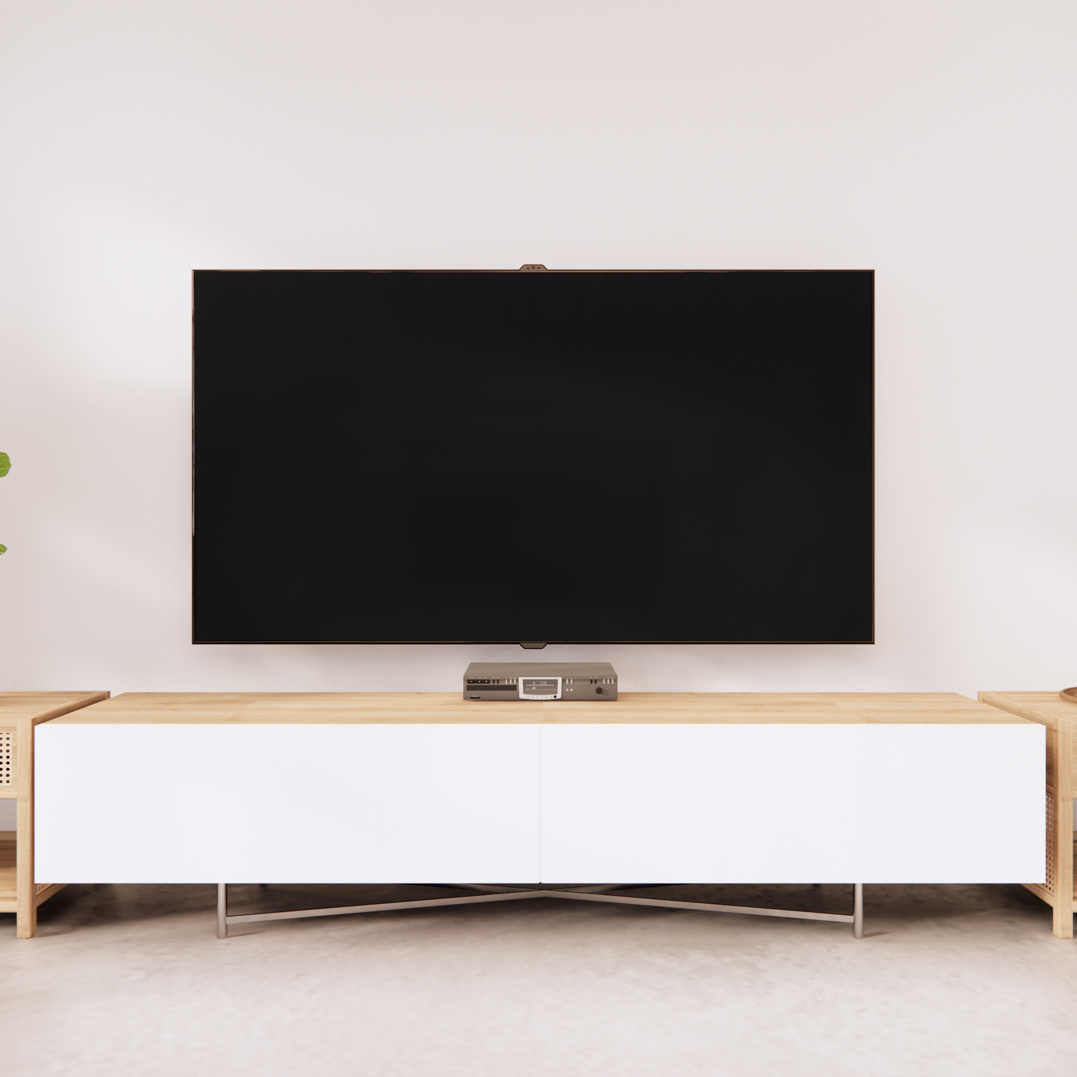 Television (TV)