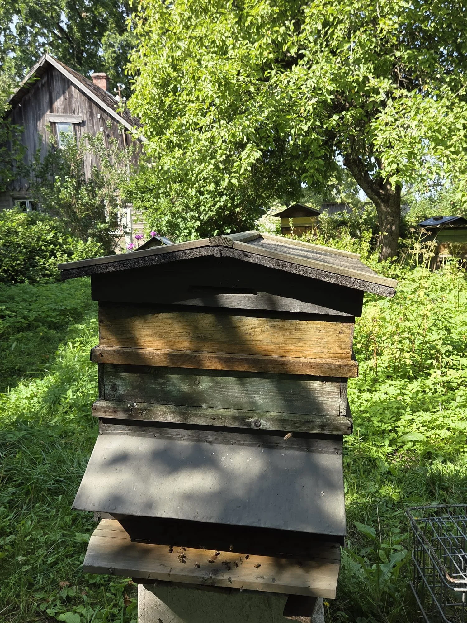 old beehive