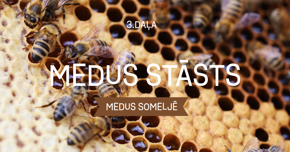 Hansa-Flex Garenie.png