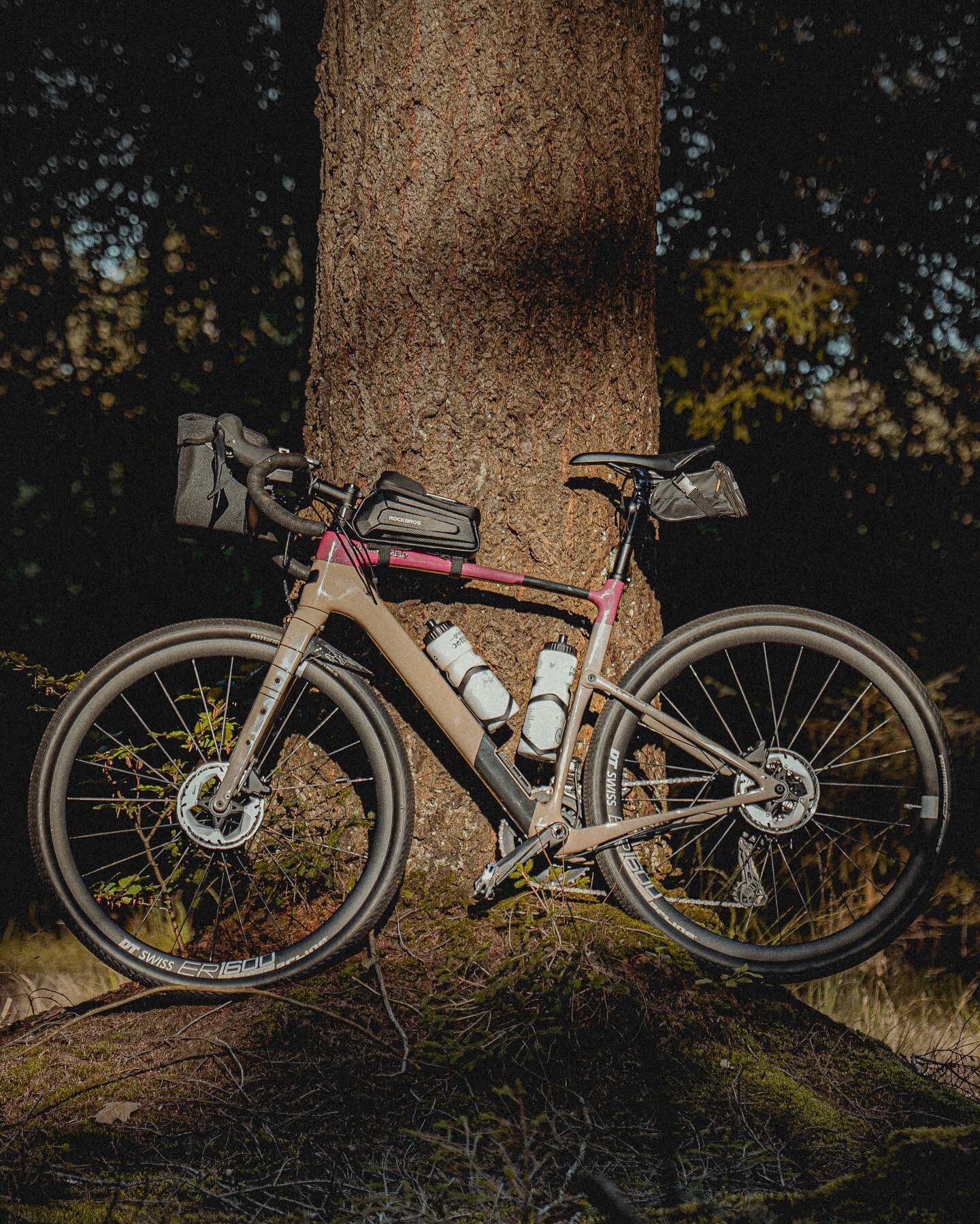 De fiets teug&rsquo;n de boom an&hellip;

#cannondale #mustgetoutdoors #bikingadventures #gasselterveld #drenthe #gravelride #productphotography #exploremore #cyclelife #bikeride #igtraveler