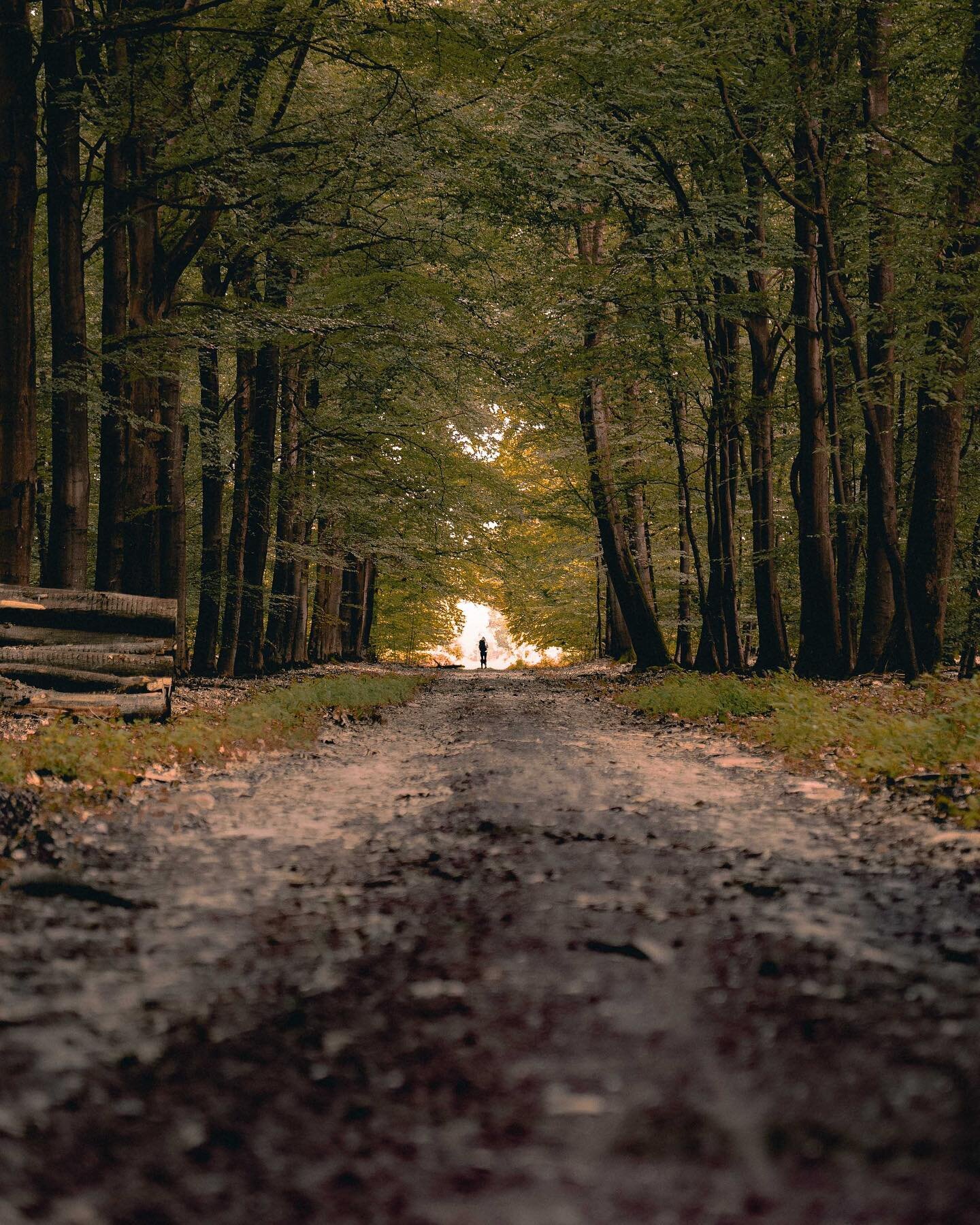 Enjoying the mud&hellip;

#mustgetoutdoors #hikingculture #drenthe #pieterpad #exploremore #naturephotography #mooidrenthe #hiketheworld #outdoorslife #forestphotography #magicforest #fantastic_earth