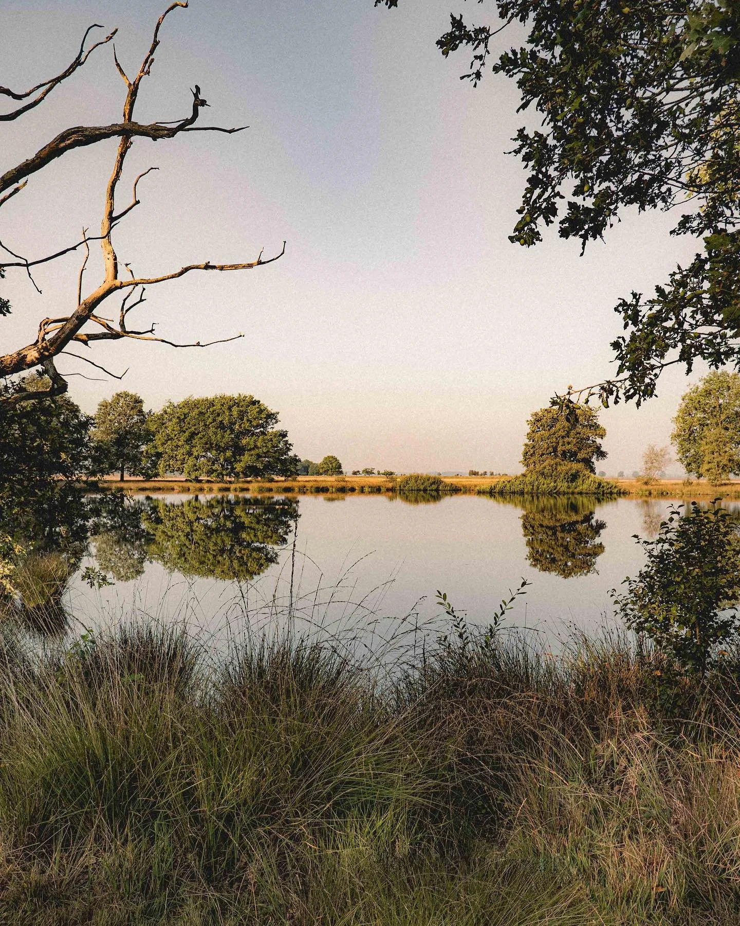Enjoying the Indian summer ☀️☀️☀️

#naturephotography #fantastic_earth #igtravel #dwingelderveld #drenthe #landscape_perfection #indiansummer #photooftheday #nature_shots #lakeview #earthoutdoors #mustgetoutdoors #outdoorslife