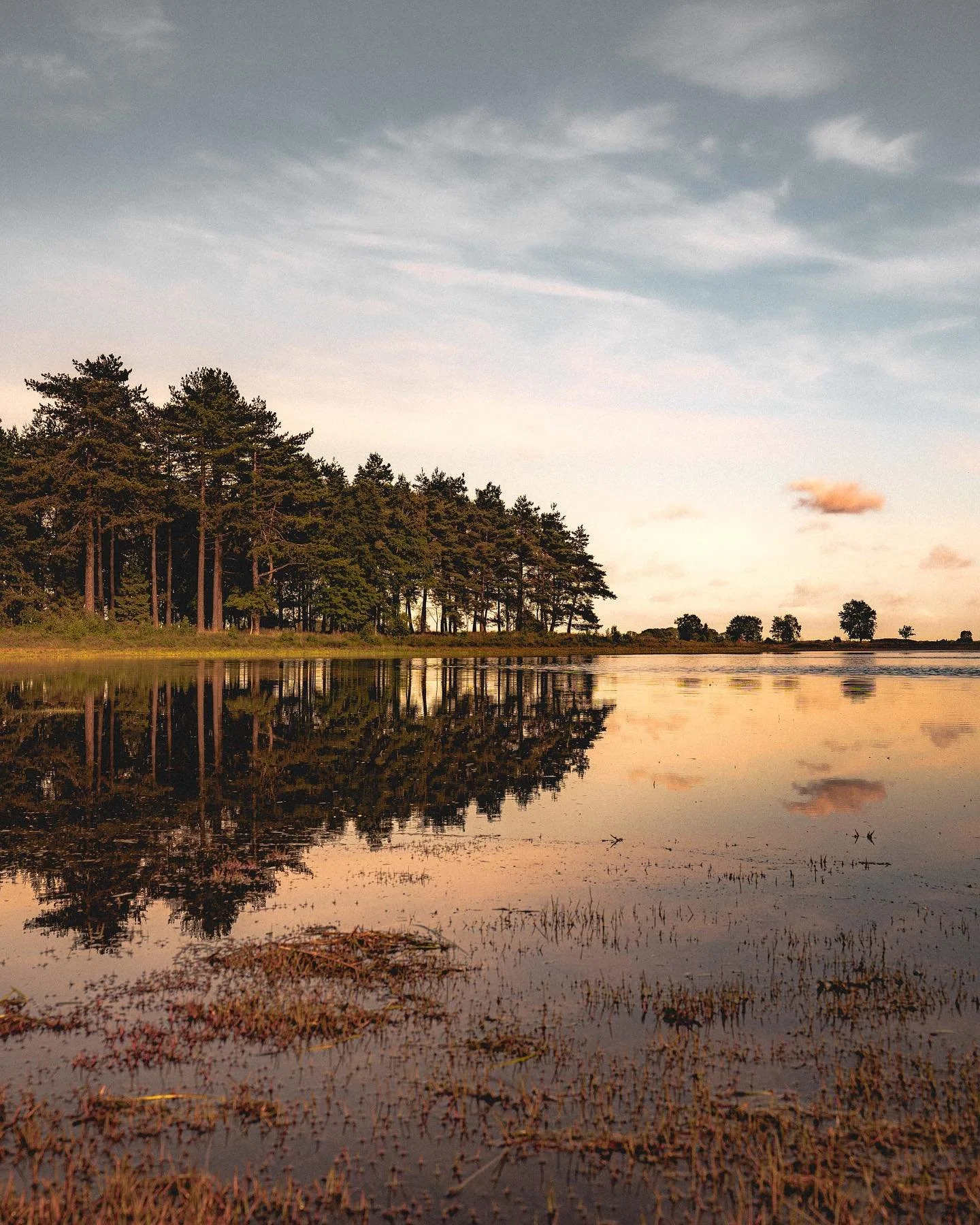 How silence look like&hellip;✨

#goldenhour #morningsun #silence #naturephotography #mustgetoutdoors #hikingculture #exploremore #drenthe #dwingelderveld #igtravel #mooidrenthe #fantastic_earth #ourplanetdaily #hiketheworld