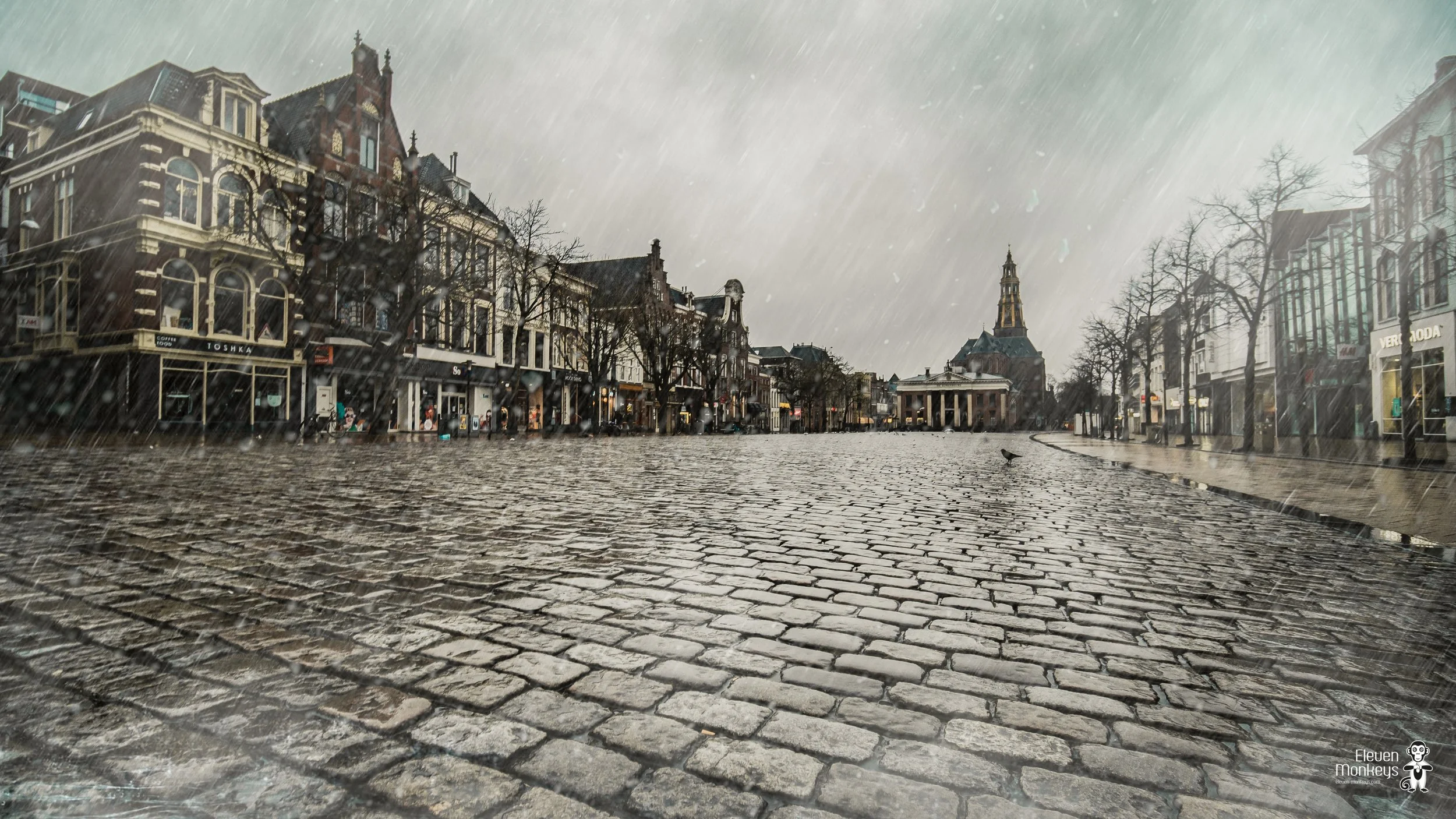 vismarkt-1.jpg