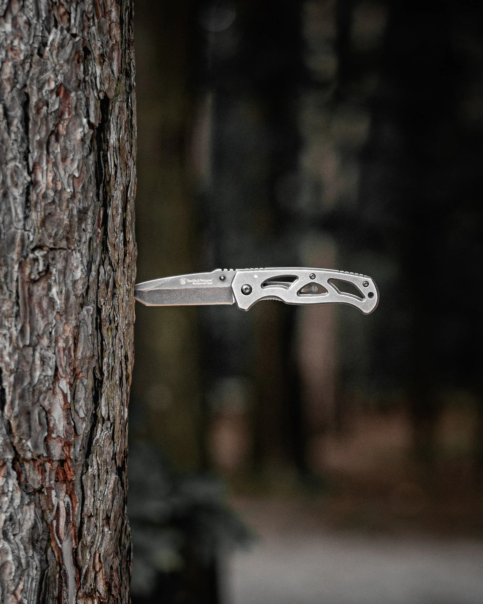 Knife-forrest-1.jpg