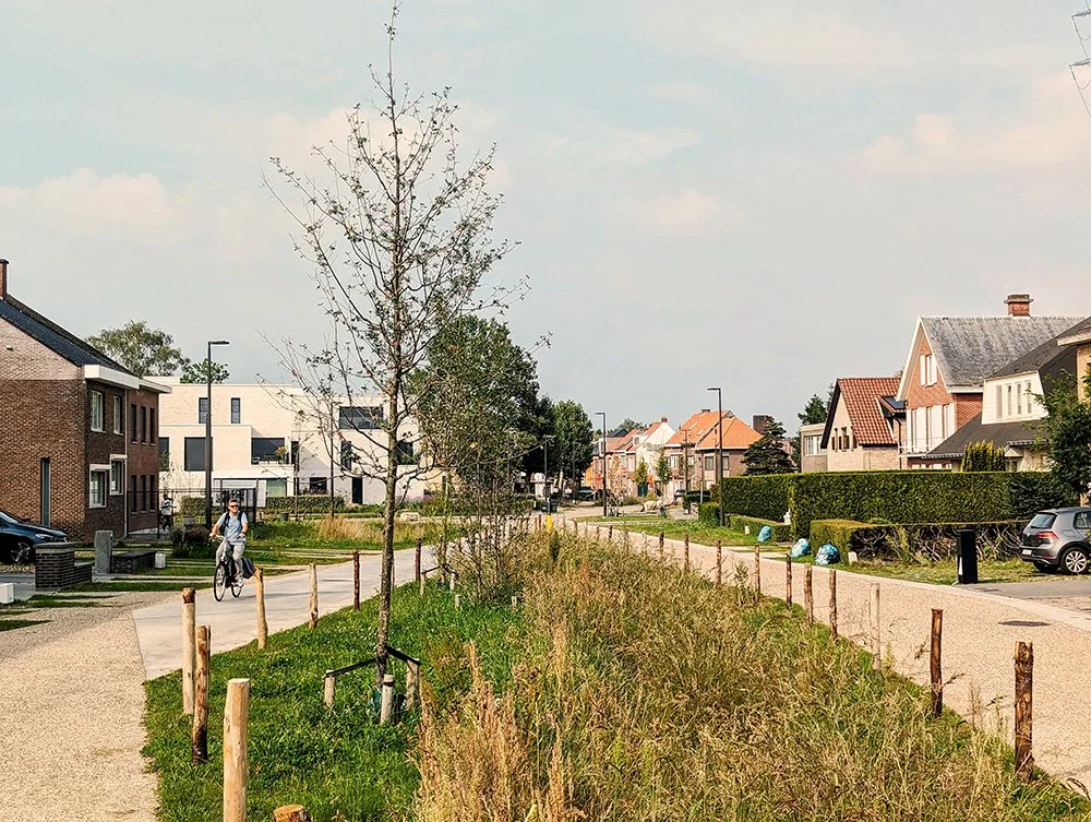 Kardinaal Cardijnlaan Sint-Niklaas- 4 NA.jpg