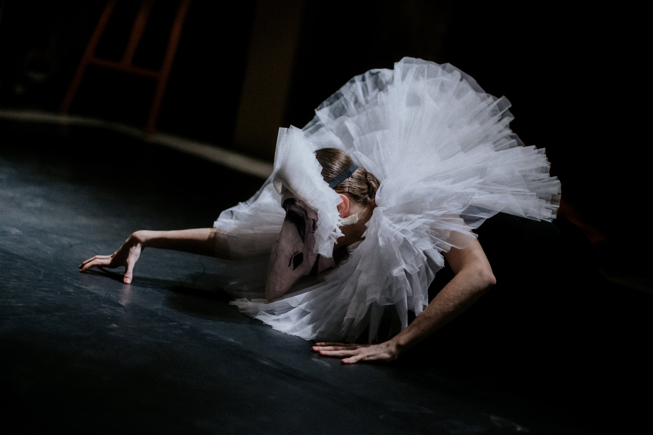 Junior Ballet Antwerp x Botanical Sanctuary