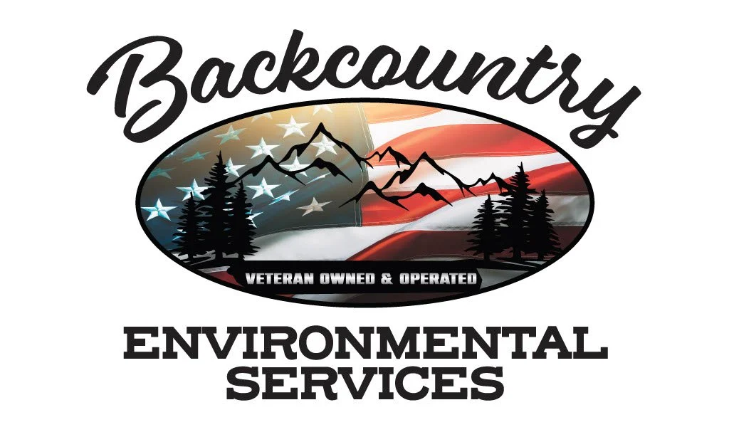 Backcountry logo.jpg