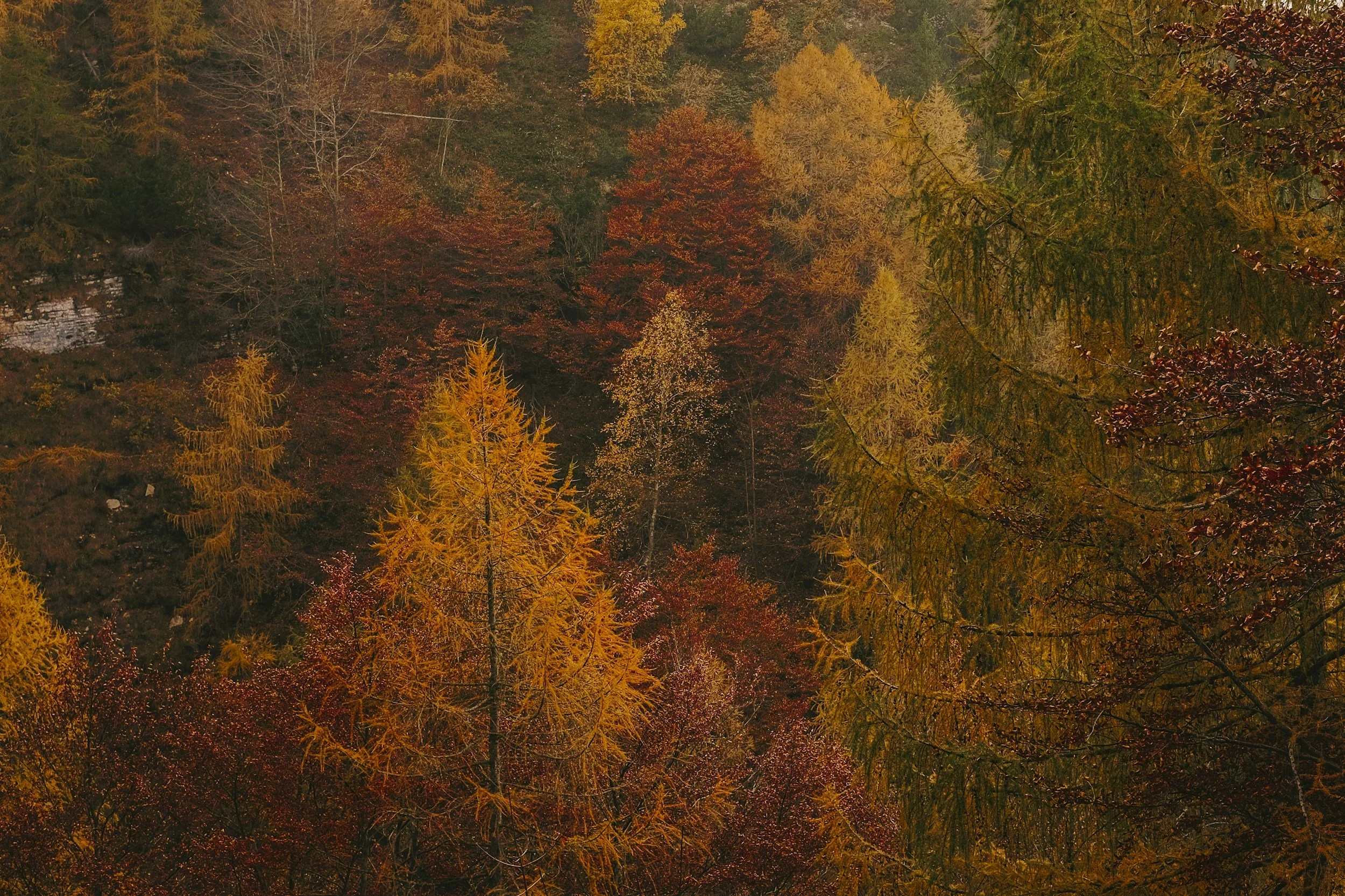 It’s fall, ya’ll! 
