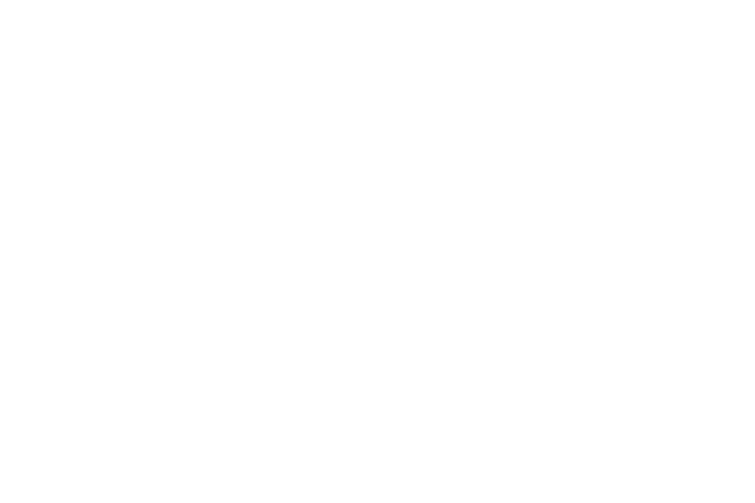 VIRGINIA.png