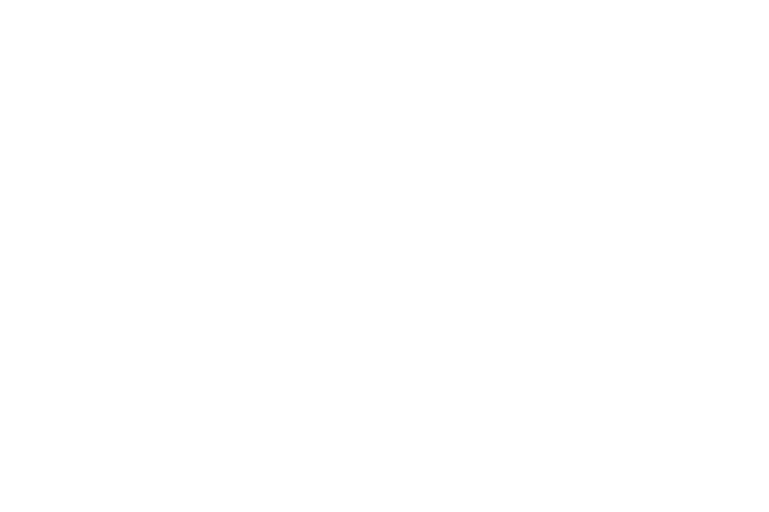 PATOS.png
