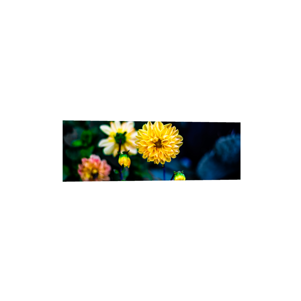 ptq_1_2_0_1005_6016_2005_0_false_ffffff_0_0_.png