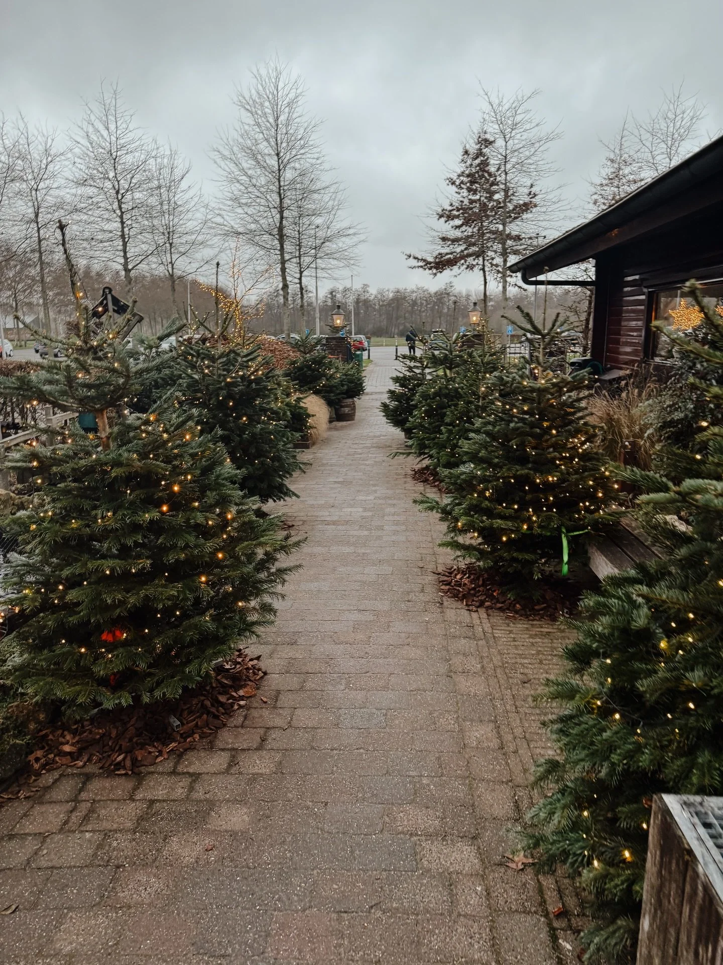 Happy New Year!✨🎇 Kleine recap van afgelopen week, want het was hier even stil de laatste dagen van 2025. De inspiratie was op, vermoeidheid kickte in, dus een break van alles was even nodig om weer vol energie het nieuwe jaar te kunnen starten!❤️

