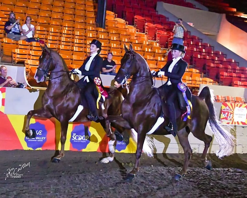 IASA Equitation Cup Finals