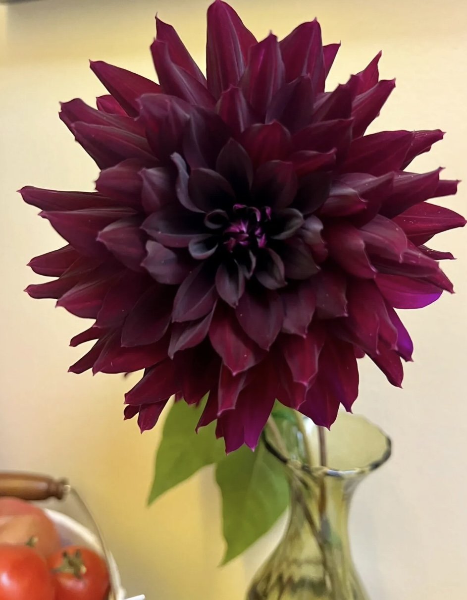 IMG_5513.jpeg