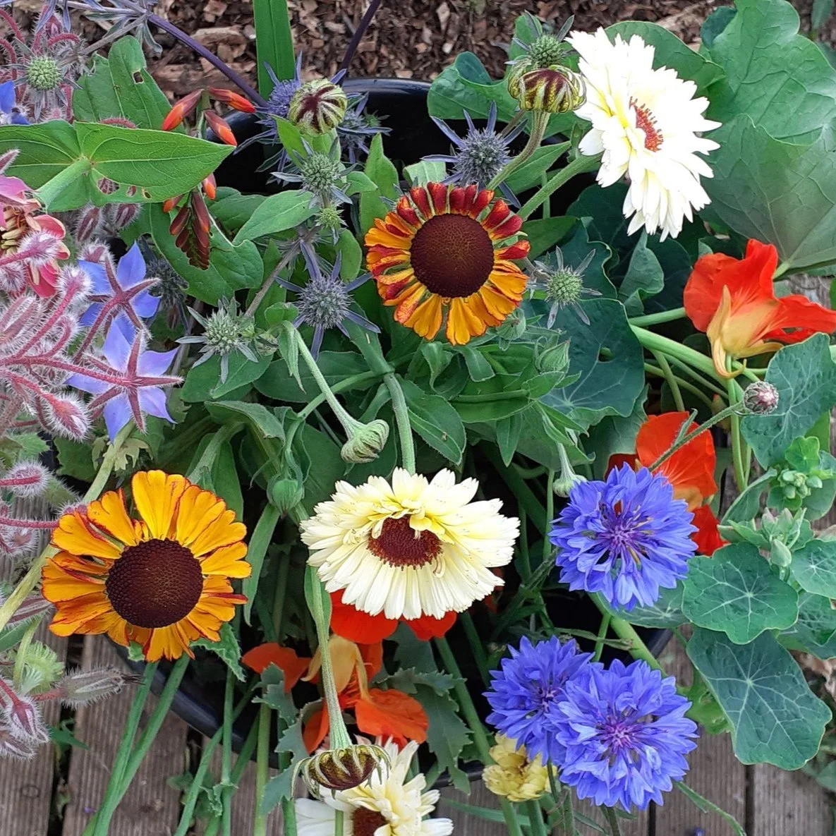 Heleniums, cornflowers and calendula from Meadowsweet Floristry, Stroud, Gloucestershire