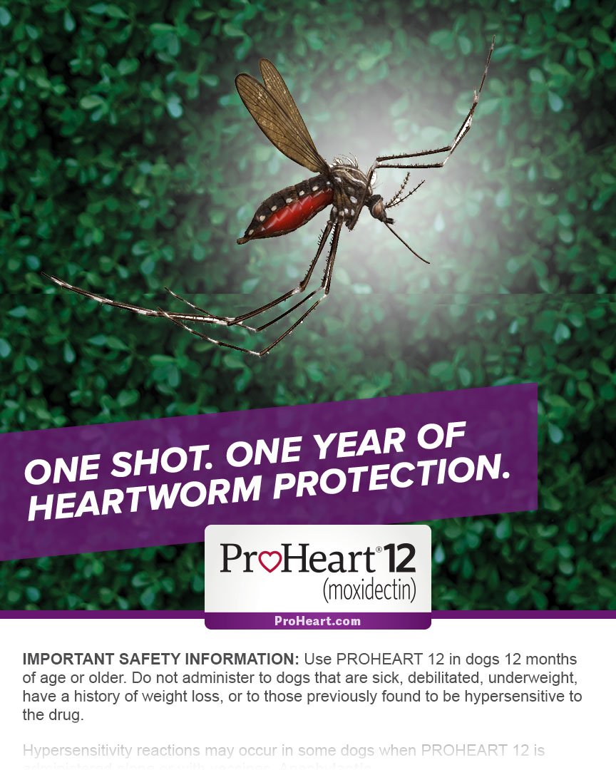 EpicProtector_Post copy.jpg