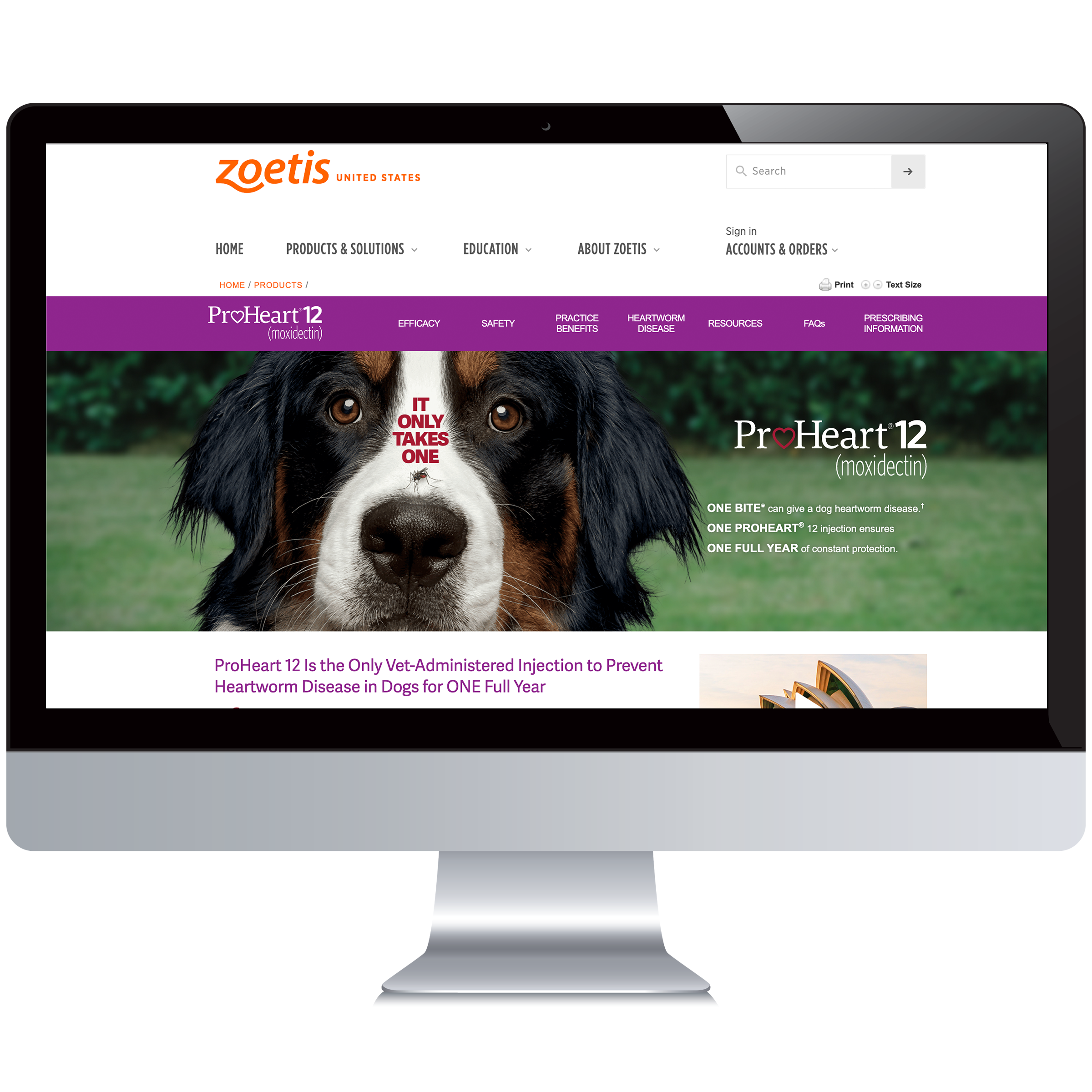 ProheartDVM_WebPage copy.png