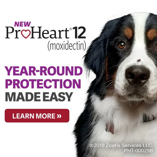 ProheartbannerAd copy.jpg