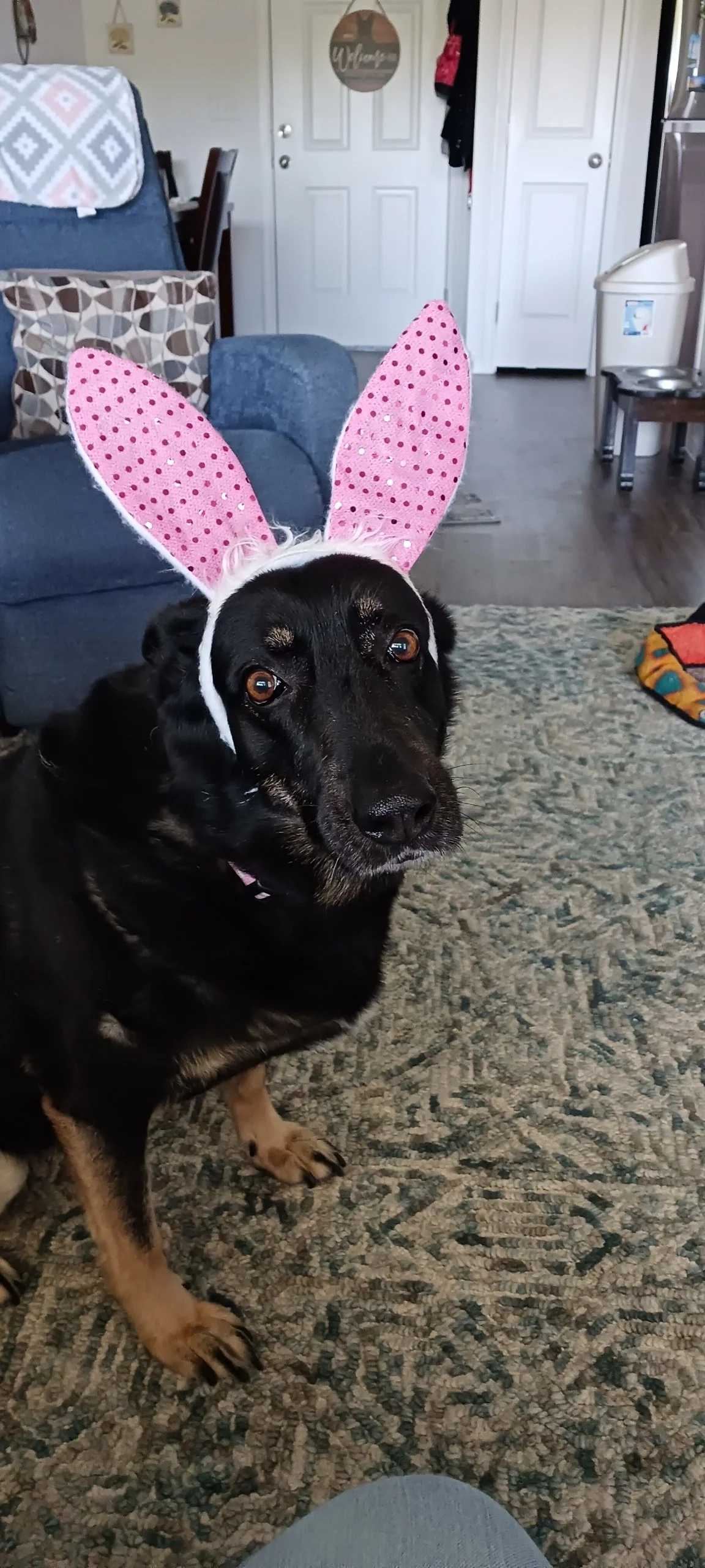 Easter Bunny's helper Greta at the library.jpg