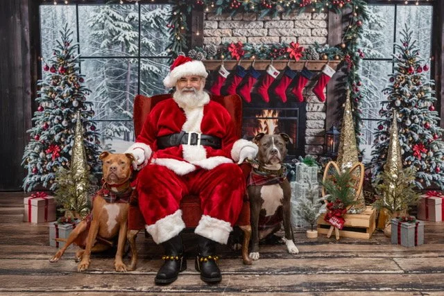 Odin & Zeua with Santa in NY.JPG