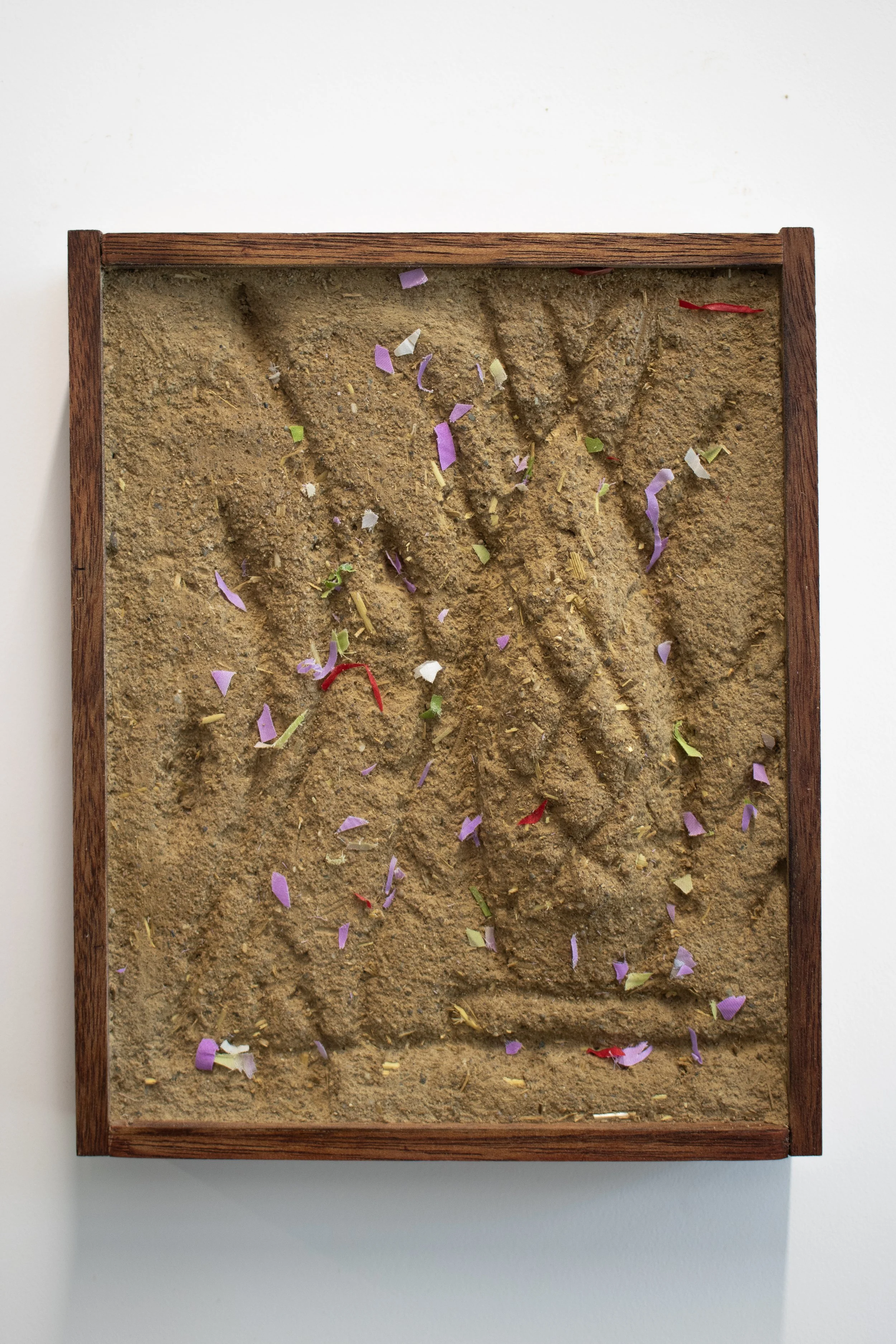 Travis Geertruida_Primavera_untitled1_1.jpg