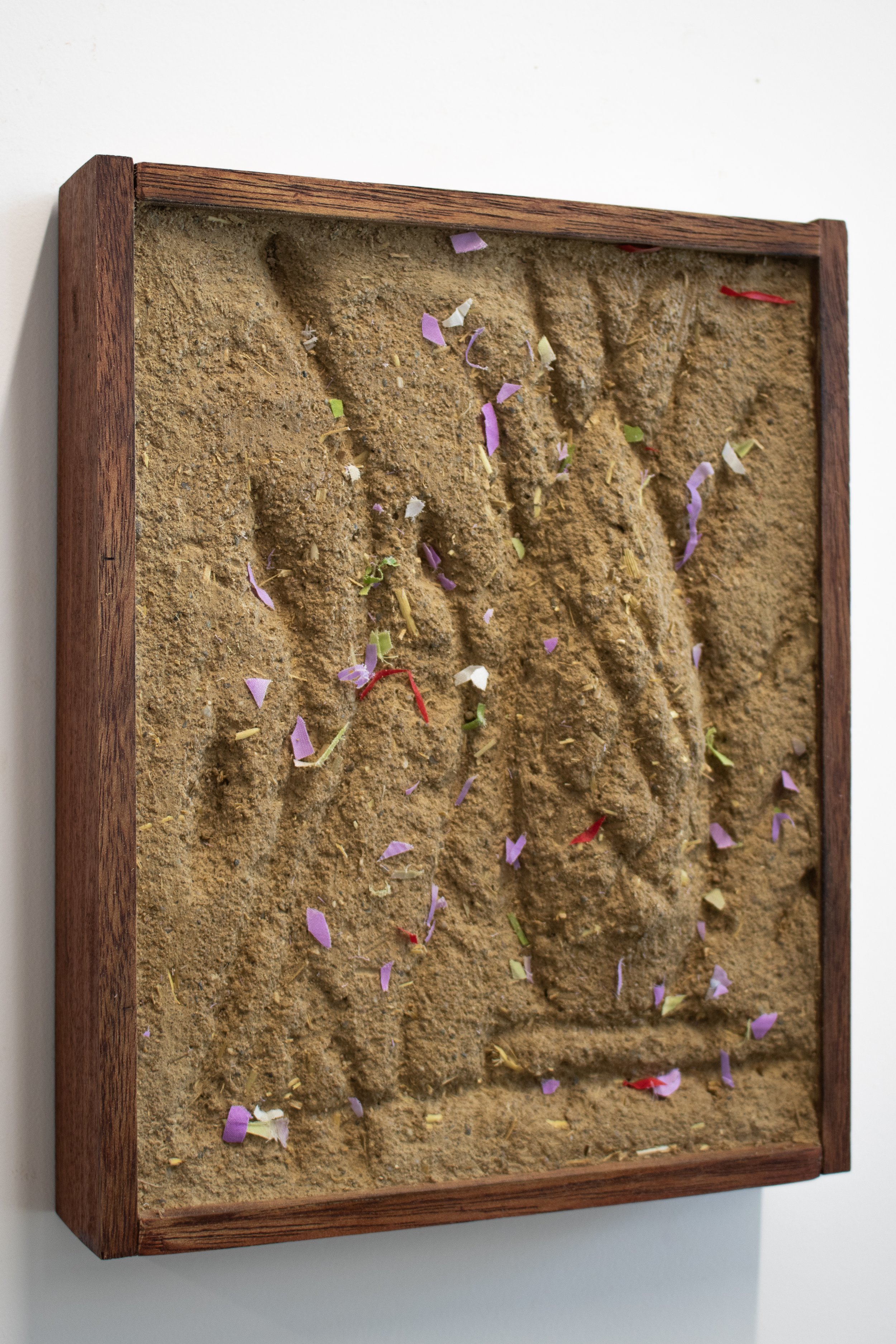 Travis Geertruida_Primavera_untitled1_2.jpg