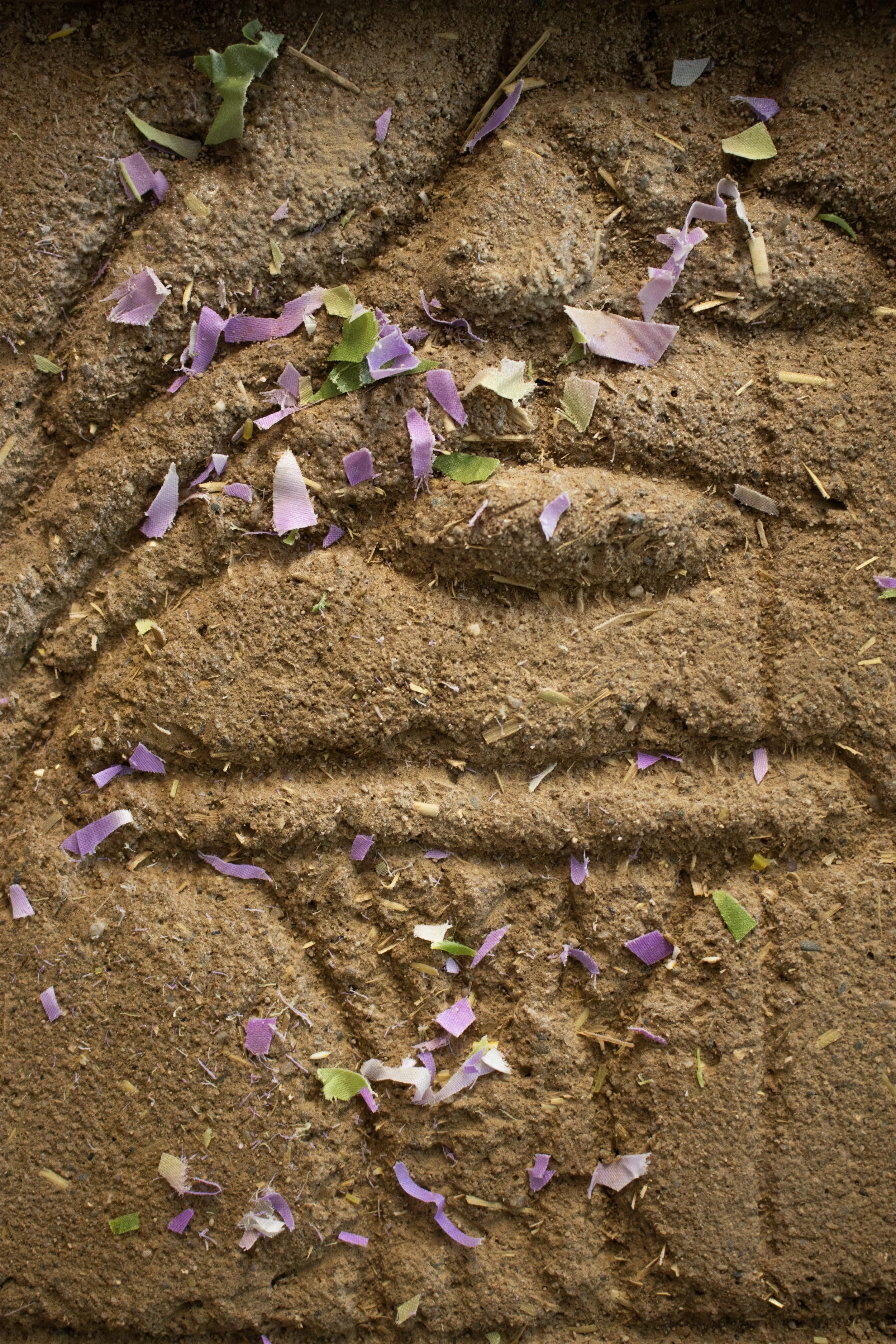 Primavera (2026)