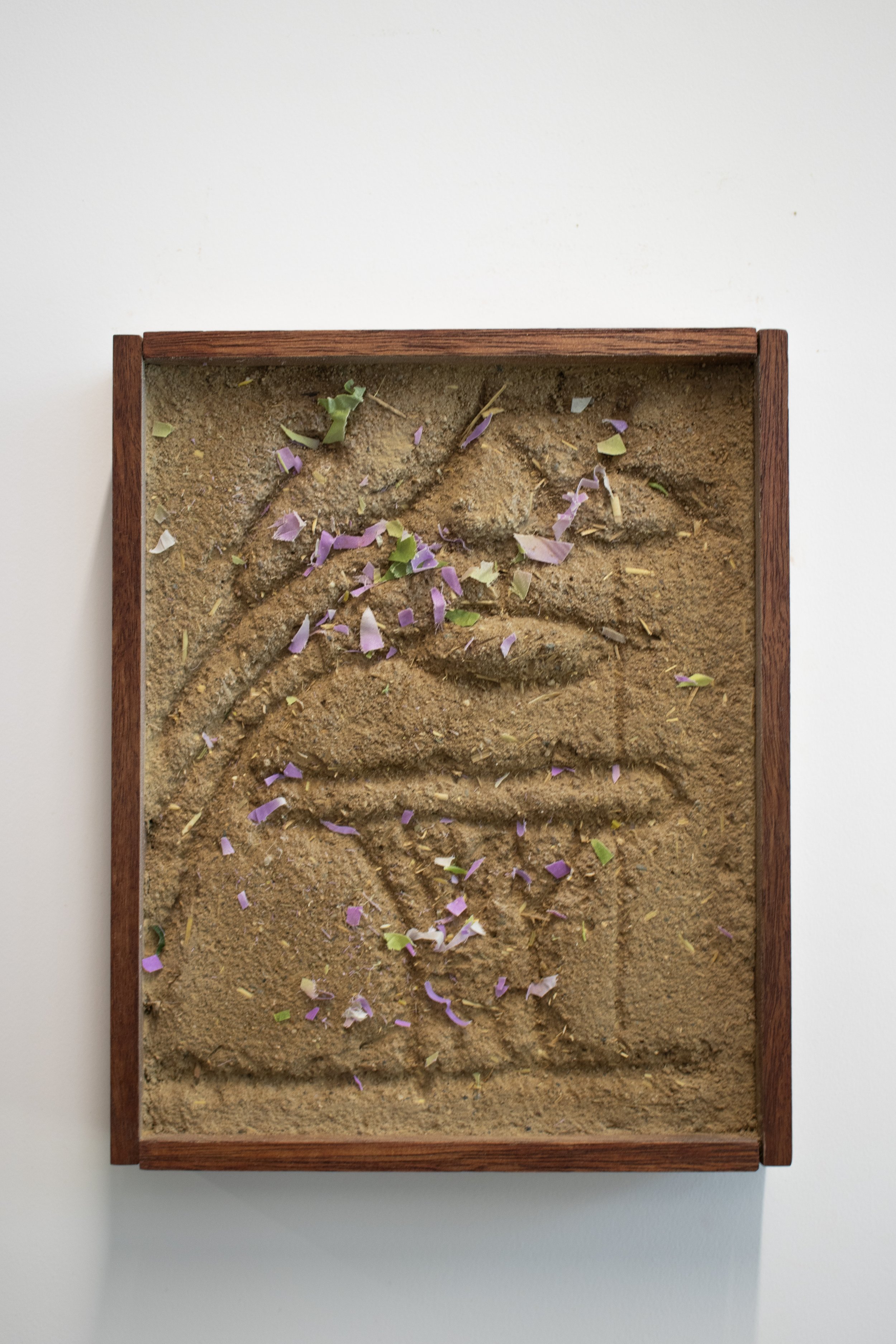 Travis Geertruida_Primavera_untitled2_1.jpg