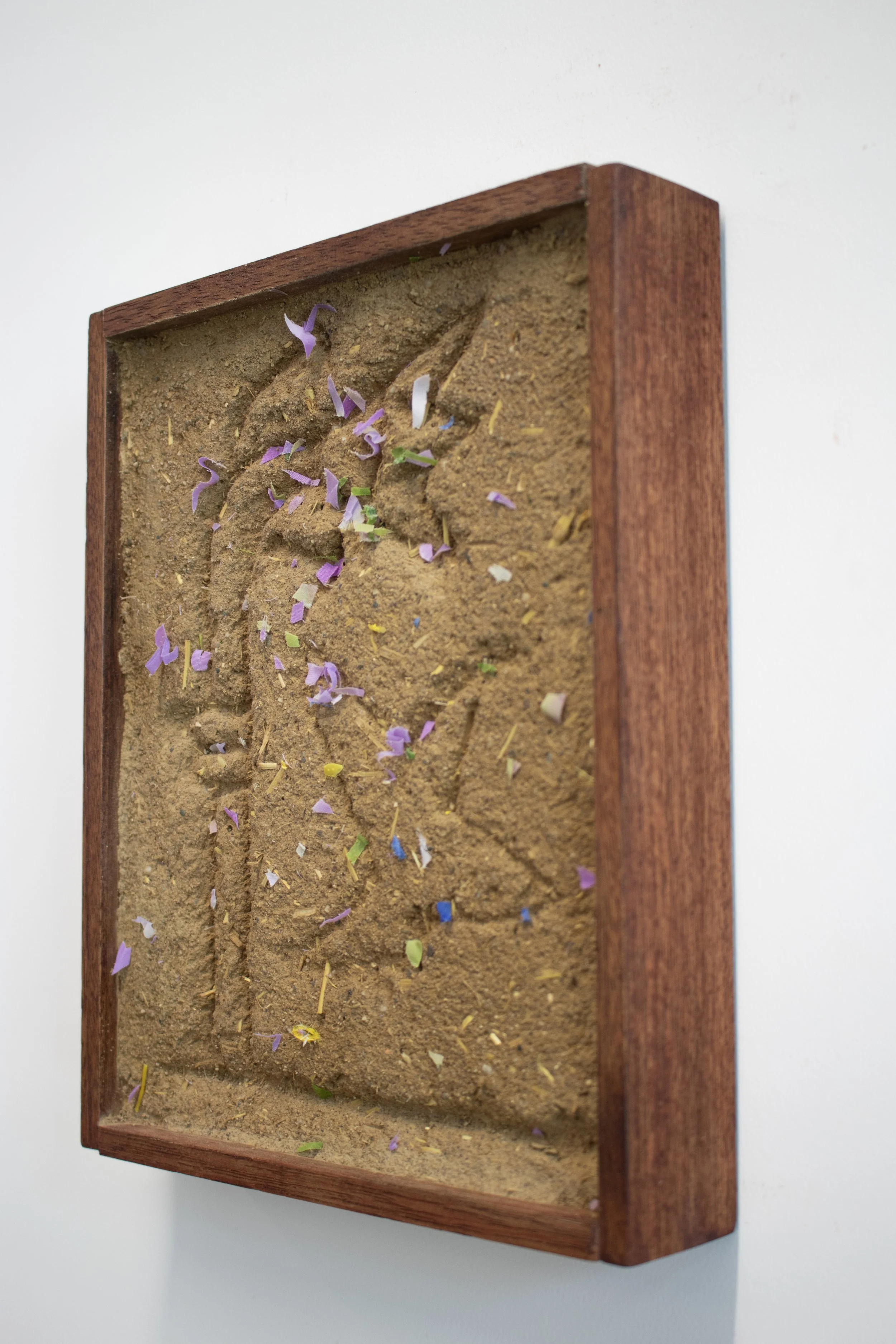 Travis Geertruida_Primavera_untitled3_2.jpg